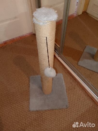 Когтеточка для кошек бу