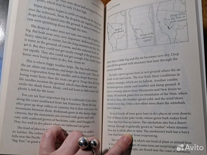 Новые книги на английском для детей