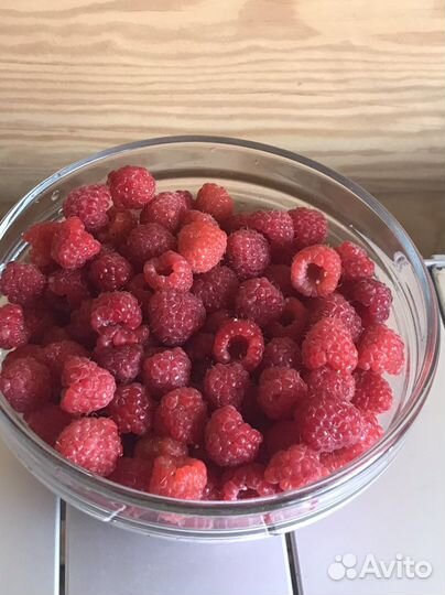 Малина сорт Награда