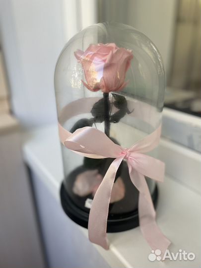 Роза в колбе