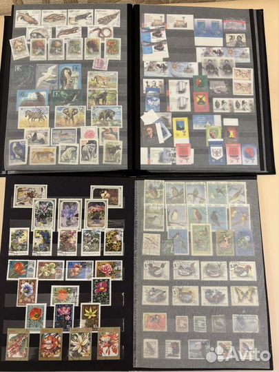 Альбомы с марками