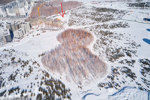 Участок 1,5 га (ИЖС)