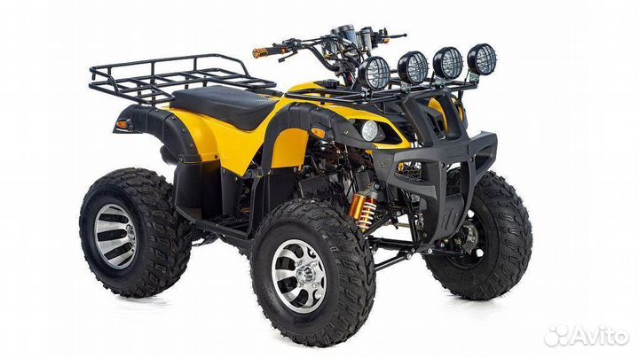 Квадроцикл Raptor Max Pro 250