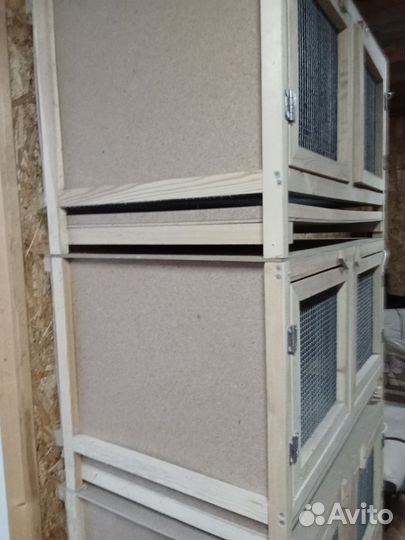 Брудер для цыплят