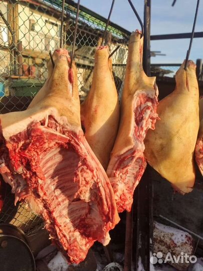 Мясо свинина домашняя