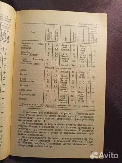 Смородина черная в саду 1995 М.Бохонова