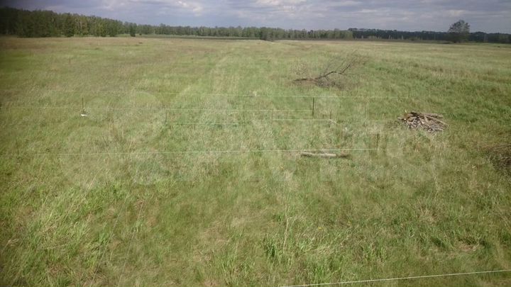 Участок 10 сот. (ИЖС)