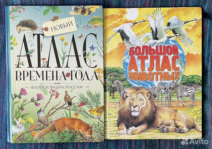 Атлас Времена года