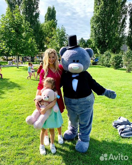 Мишка Тедди Поздравление Медведь + Фотограф