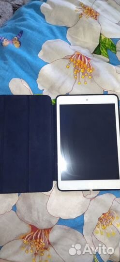 iPad mini 2