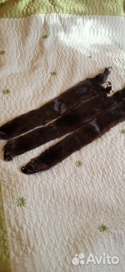 Шкурка животного