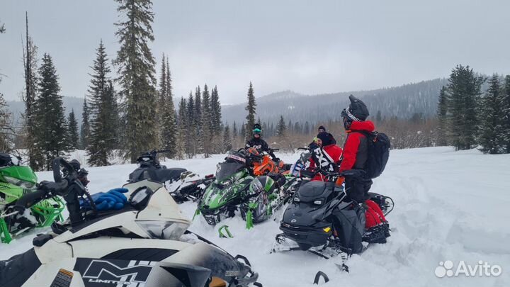 Arctic cat m 8000