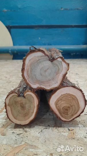 Можжевельник