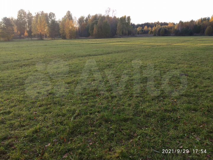 Участок 2 га (ИЖС)