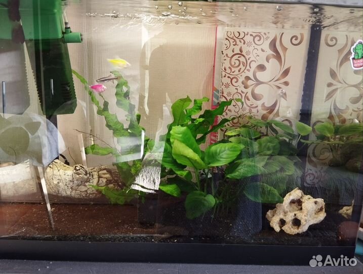 Аквариум 60 литров