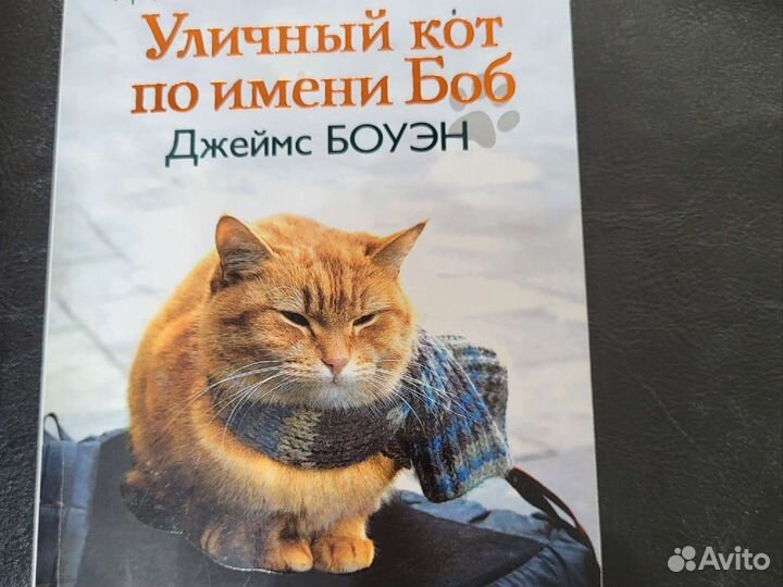 Уличный кот по имени боб