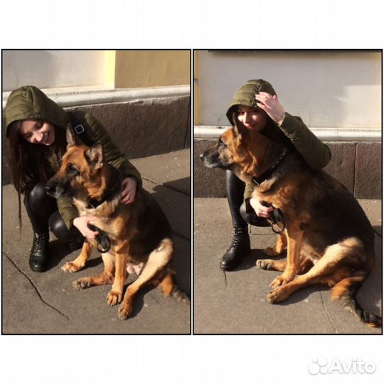 Индивидуальная передержка для вашего питомца