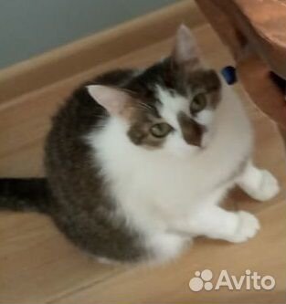 Муся осталась одна