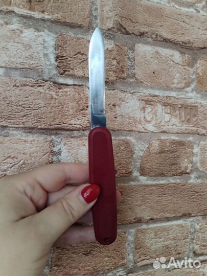 Victorinox solo