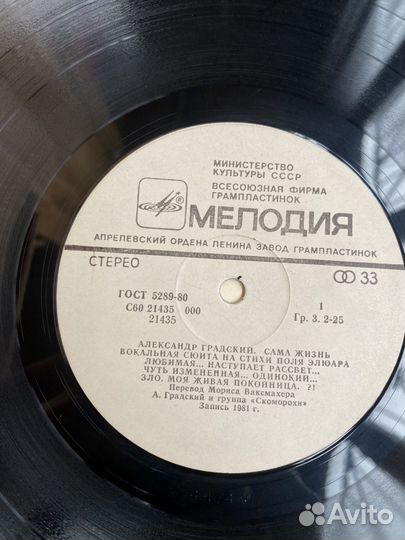 Александр Градский и группа Скоморохи