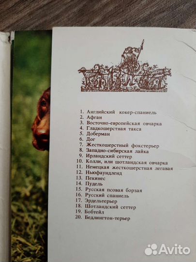 Энциклопедия быта, папка РСФСР, набор открыток