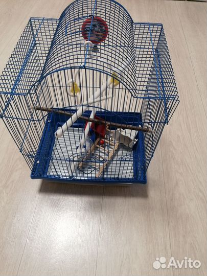 Клетка для попугая бу