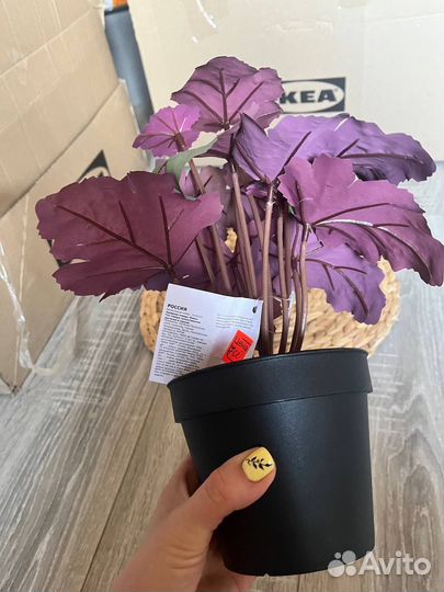 Искусственное растение, Пятнистая герань, IKEA