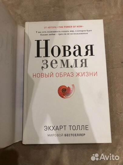 Новая земля книга Толле