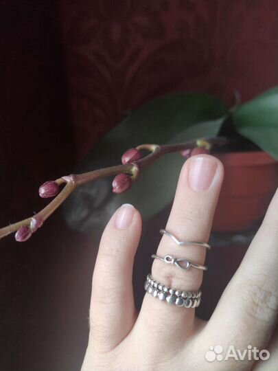 Колечки Pandora оригинал+4 кольцо в подарок