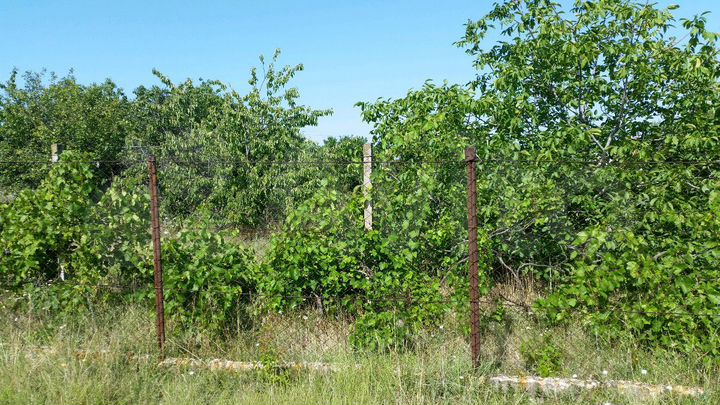 Участок 12 сот. (СНТ, ДНП)