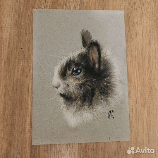 Сухая пастель.Кролик