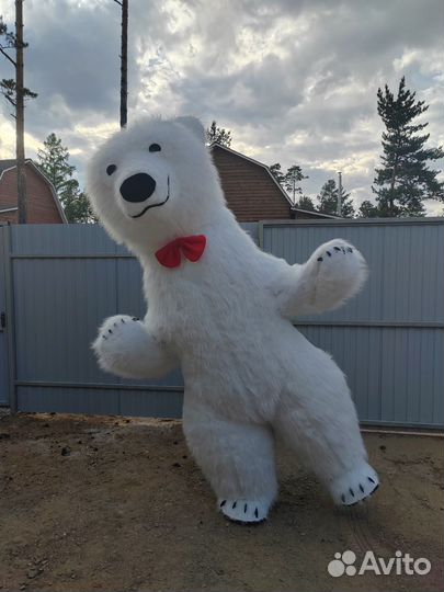 Аниматор белый мишка поздравление