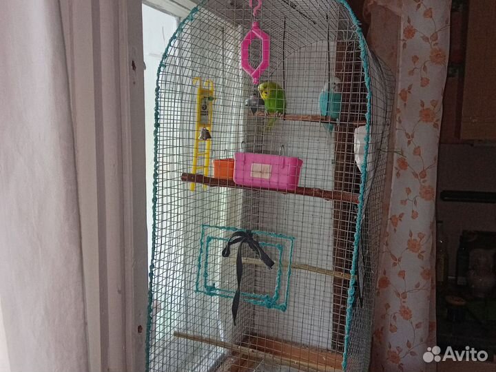 Клетка с попугайчиками.Продается
