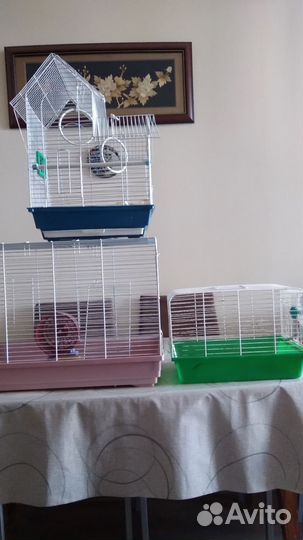 Клетка для животных
