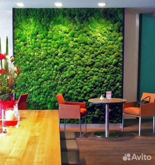 Искусственное озеленение