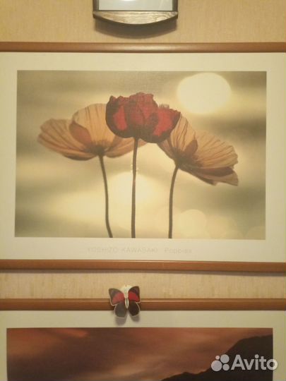 Картины и постеры IKEA