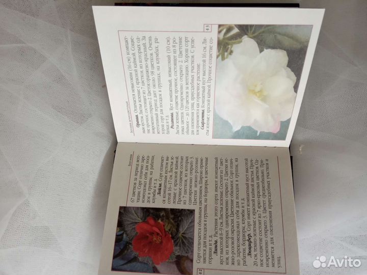 Книга по вышиванию бегоний