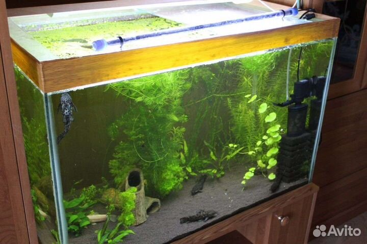 Аквариум