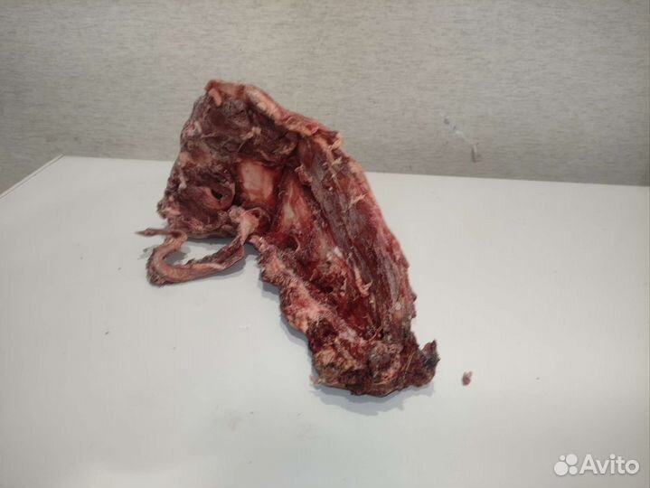 Мясо говядина для собак