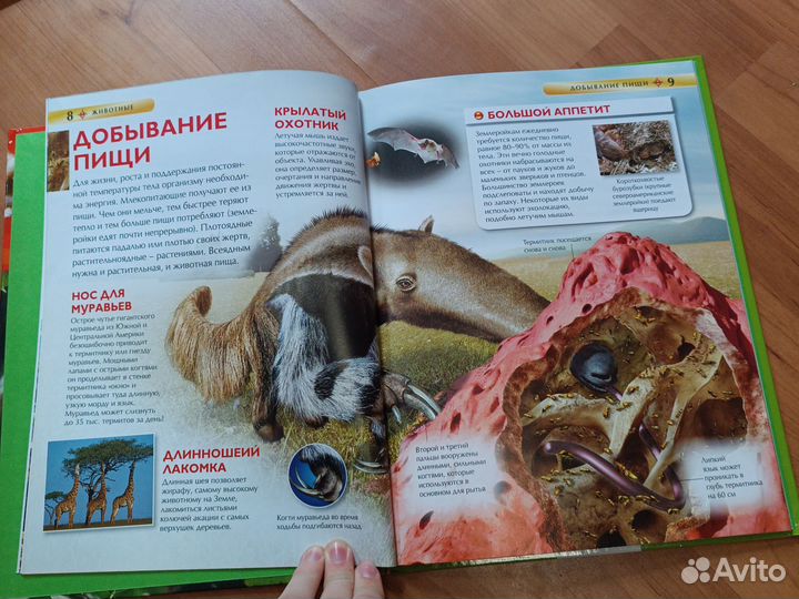 Детские энциклопедии про птиц и животных