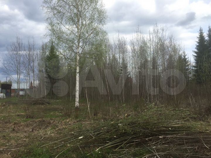 Участок 10 сот. (СНТ, ДНП)