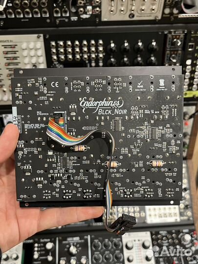 Endorphines black noir