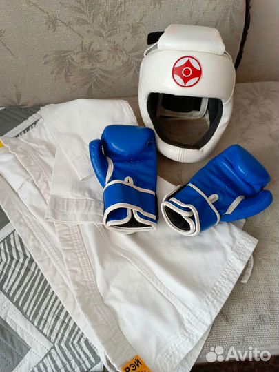 Каратэ киокушинкай