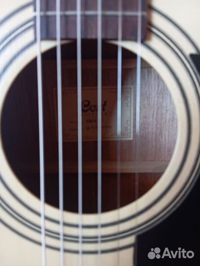 Акустическая гитара cort ad 810