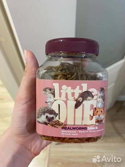 Вещи для хомяка