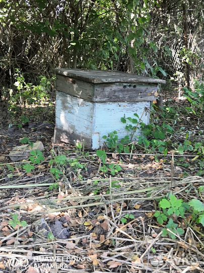 Улей для пчел