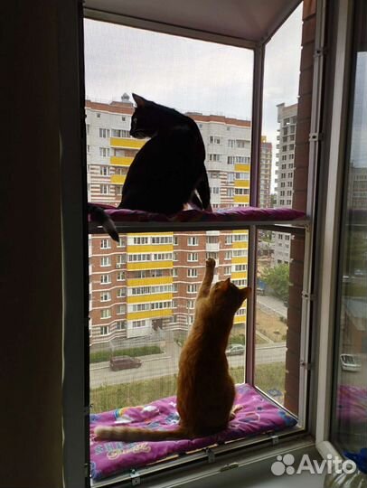 Балкончик для кошки