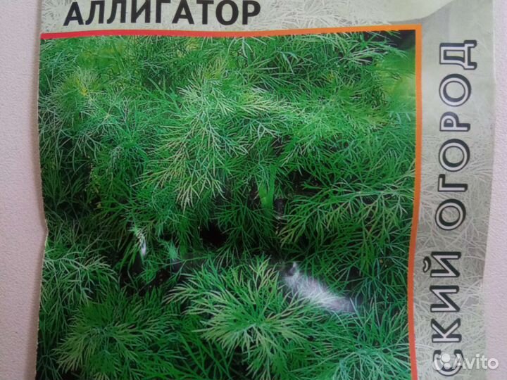 Семена моркови, капусты, укропа, кинзы и свёклы