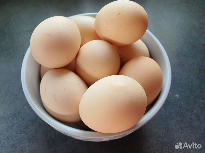 Домашние куриные яйца