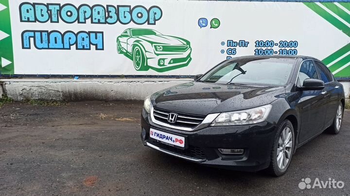 Петли двери задней левой Honda Accord